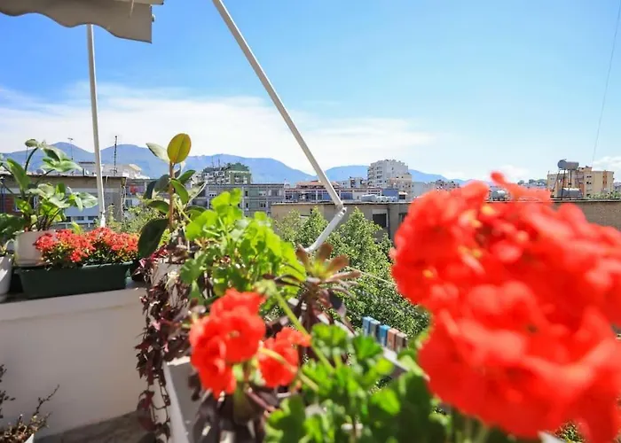 Colorful Oasis With Sunny Balcony * Tirana